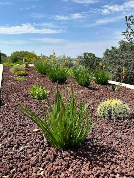Sous Le « Figuier » Villa Cornillon-Confoux Kültér fotó